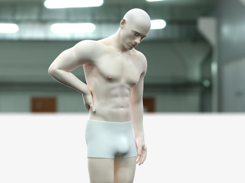 男性と女性の完全な解剖学 3Dモデル