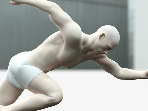 男性と女性の完全な解剖学 3Dモデル