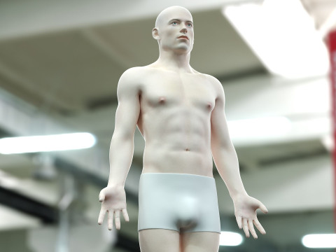 男性と女性の完全な解剖学 3Dモデル