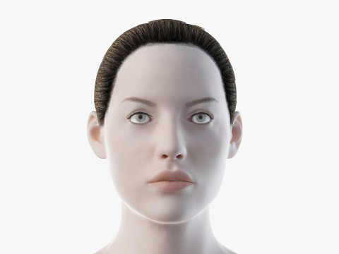 男性と女性の完全な解剖学 3Dモデル