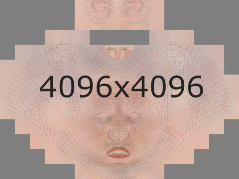 男性と女性の完全な解剖学 3Dモデル