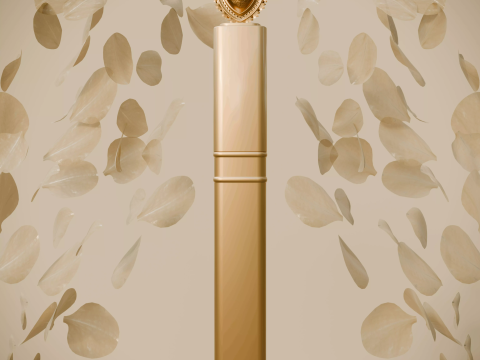 Devozione al mascara Dolce e Gabbana Modello 3D