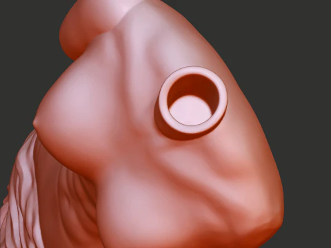 Venus Flow Vase 3D Print Model