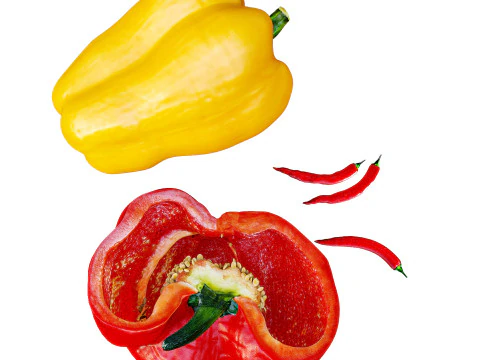 Colored bell pepper 3D Model