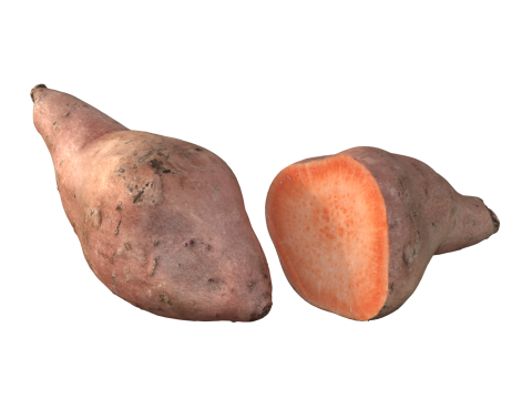 Sweet potato 3D Модель