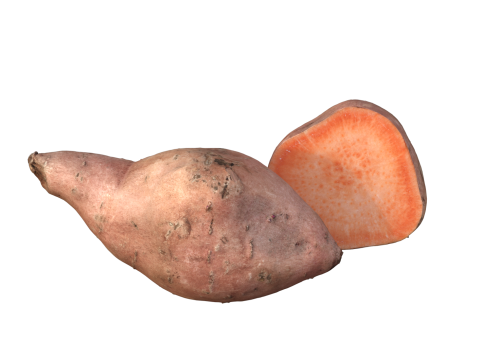 Sweet potato 3D Model