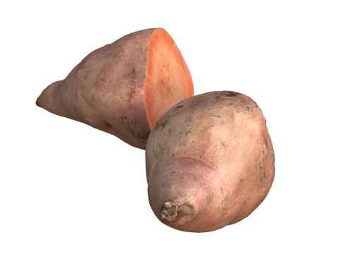 Sweet potato 3D Model