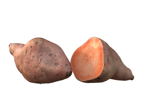 Sweet potato 3D Model