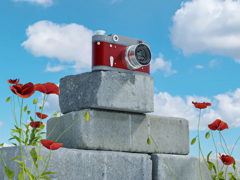 Camera brick flower 3D Model