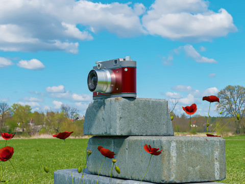 Camera brick flower Modello 3D