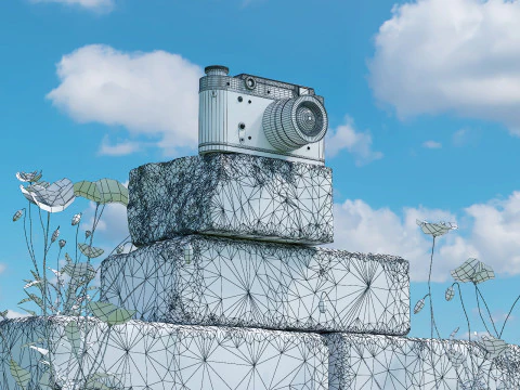 Flor de tijolo de c&acirc;mera Modelo 3D