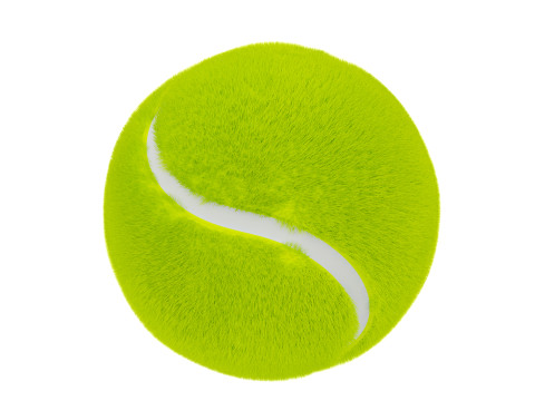 Tennis Ball 3D 模型