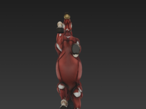 Horse Muscular System Complete Equine Muscle Groups Anatomical Accuracy Modello 3D