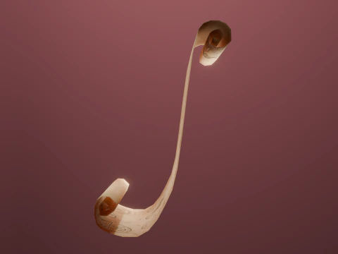 Old Scroll 3D Model