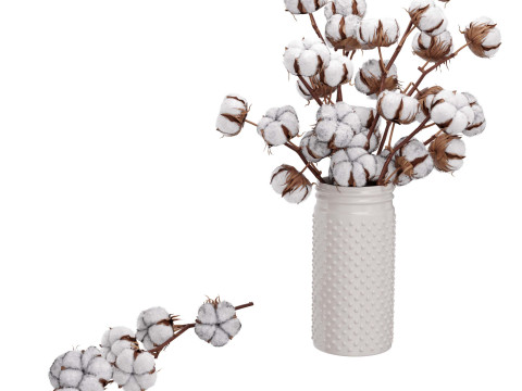 Cotton Plant 3D Model