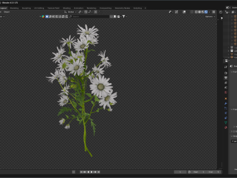 玛格丽特雏菊 3D 模型