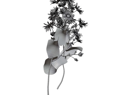 玛格丽特雏菊 3D 模型