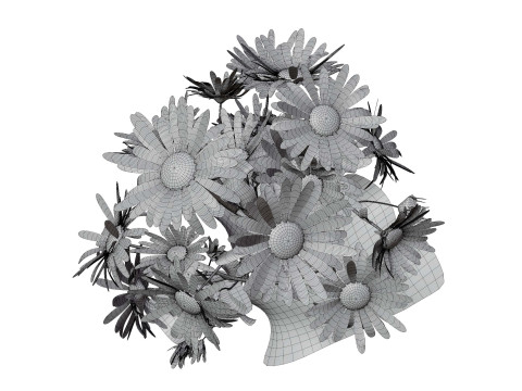 玛格丽特雏菊 3D 模型