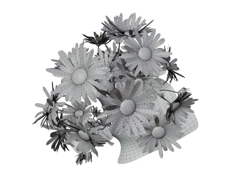 Marguerite daisy 3D Model