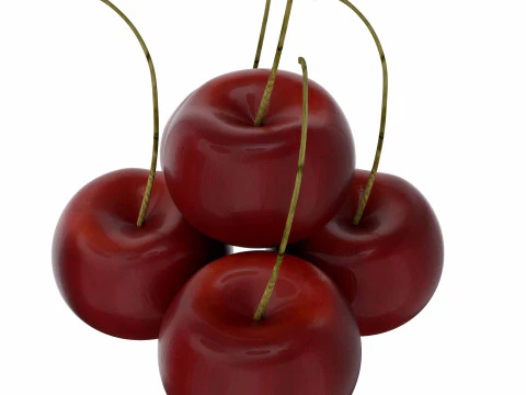 Cherry 3D Model