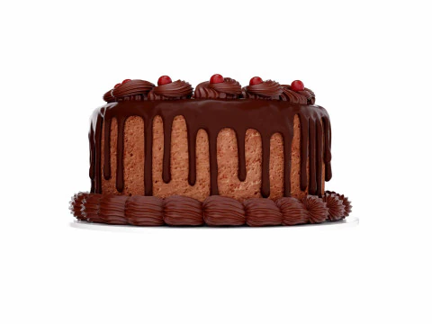 Chocolate cake 3D Model