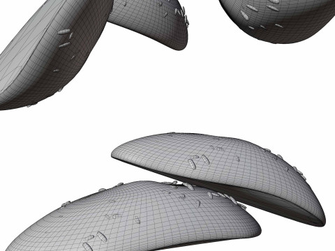 Multigrain Bread 3Dモデル