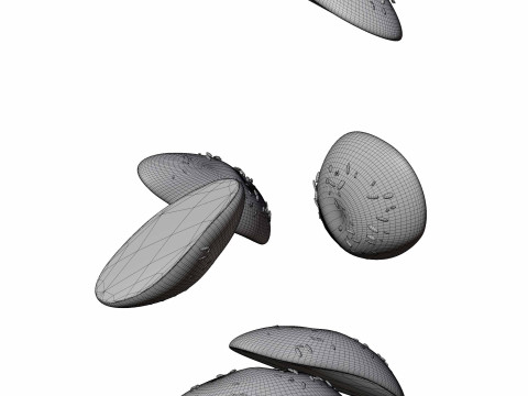 Multigrain Bread 3Dモデル
