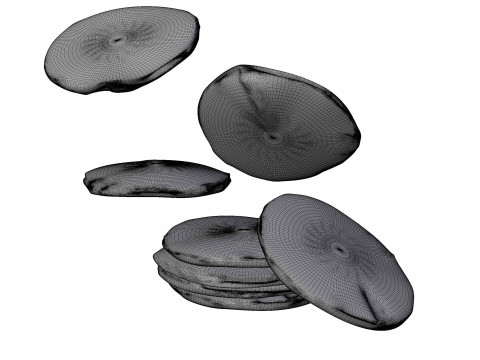 Pan cake 3D 모델