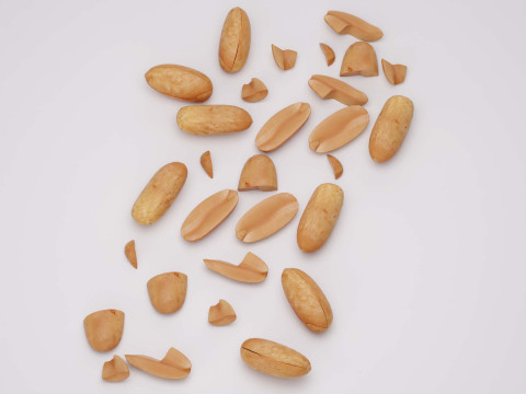 Peanuts 3D Model