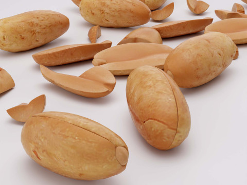 Peanuts 3D Model