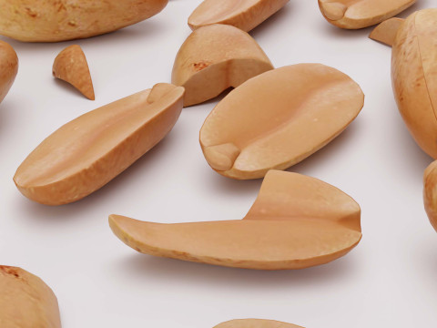 Peanuts 3D Model