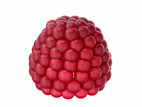 Raspberry 3D Model