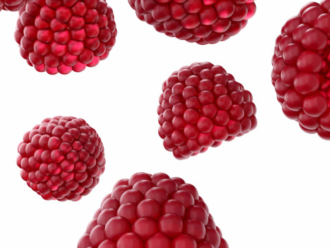 Raspberry 3D Model