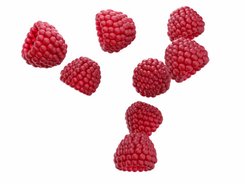 Raspberry Modelo 3D