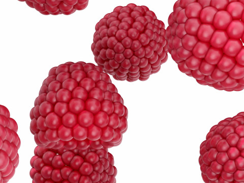 Raspberry 3D Model
