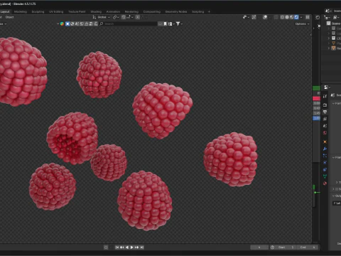 Raspberry 3D Model