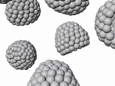 Raspberry 3D Model