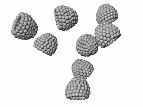 Raspberry 3D Model