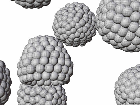 Raspberry 3D Model