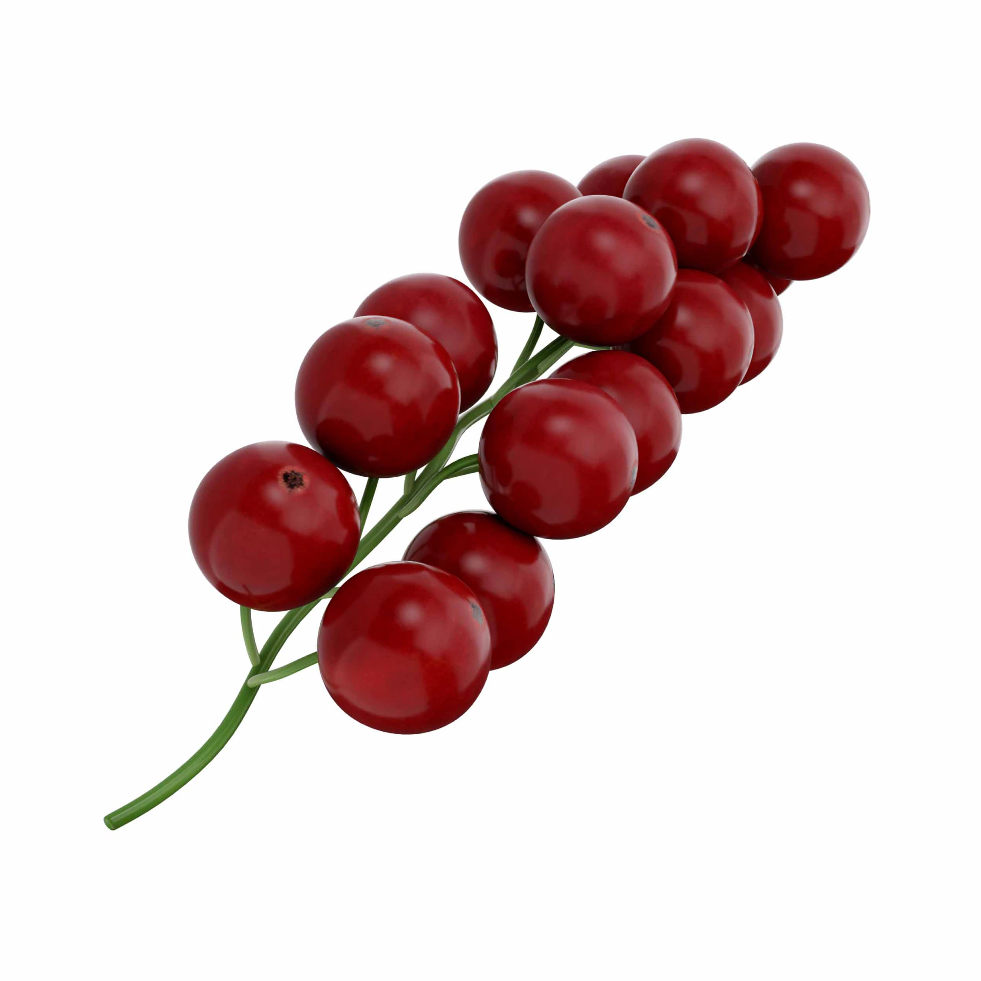 Red Currant fruit 3D Model .c4d .max .obj .3ds .fbx .stl .blend 