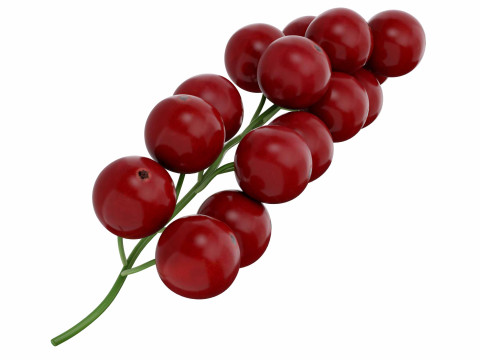 Red Currant fruit Modelo 3D