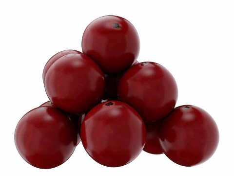 Red Currant fruit 3D Model