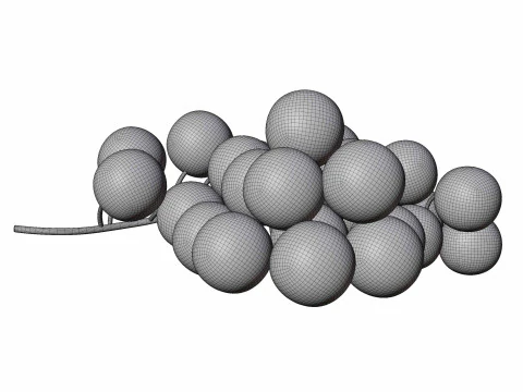 Red Currant fruit 3D Model