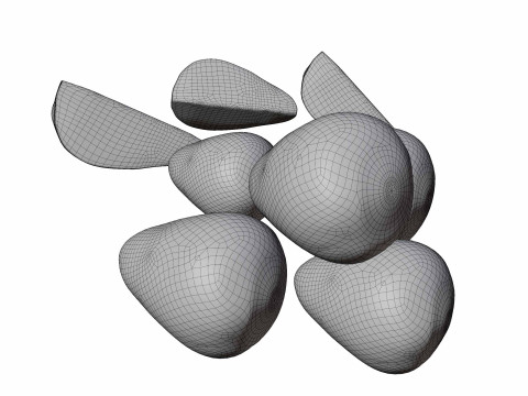 Strawberry Modello 3D