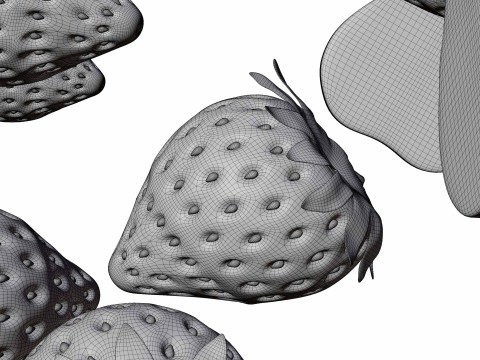 Strawberrys 3D Model