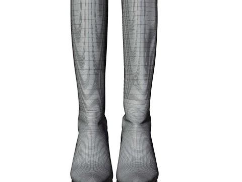 Высокие кожаные сапоги 3D Модель