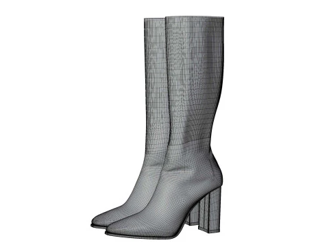 Высокие кожаные сапоги 3D Модель