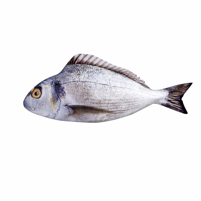 Bream Fish Model 3D .c4d .max .obj .3ds .fbx .stl .blend