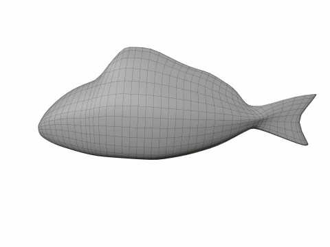 Bream Fish 3D Model