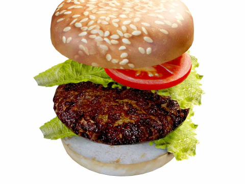 Burger 3D Model